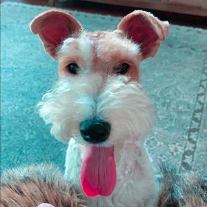 Meet your Posher, Jaybee